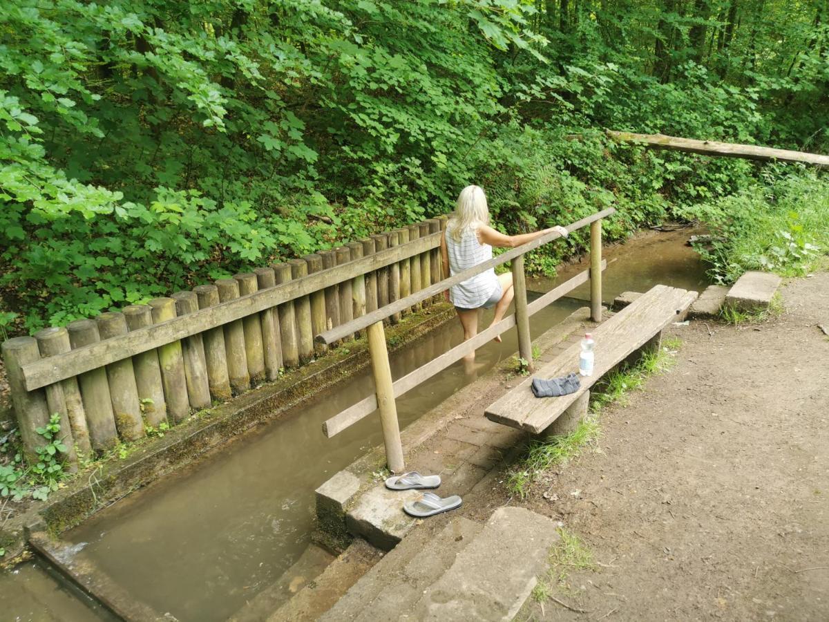 Im Herzen Des Kraichgaus 1 Ostringen Extérieur photo