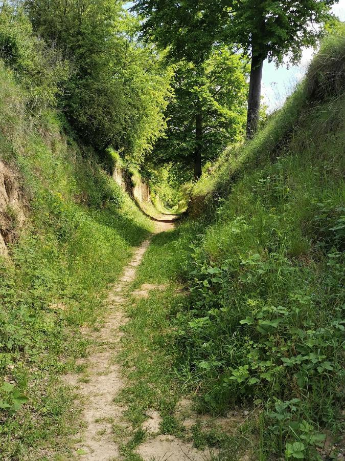Im Herzen Des Kraichgaus 1 Ostringen Extérieur photo